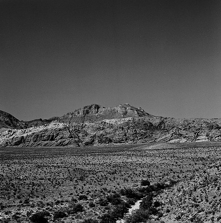 36059_BW_SQ_RED_ROCK_CAYON_NEVADA_NV_03.jpg