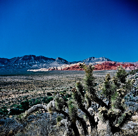 36060_FM_COLOR_CANYON_VEGAS_NV_03_7.jpg