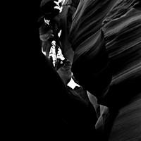2289_FM_BW_NV_02.jpg