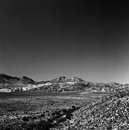 36059_BW_SQ_RED_ROCK_CAYON_NEVADA_NV_03_6.jpg