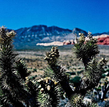 36060_FM_COLOR_CANYON_VEGAS_NV_03_9.jpg