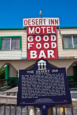 0014_DG_Yeehan_Junction_Desert_In_FL_USA_2009_5L8Y0064