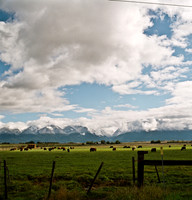6062_FM_COLOR_SQ_MT_05_2.jpg