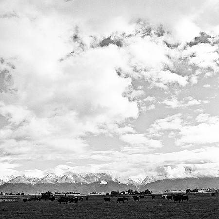 6063_FM_BW_MT_05_6.jpg