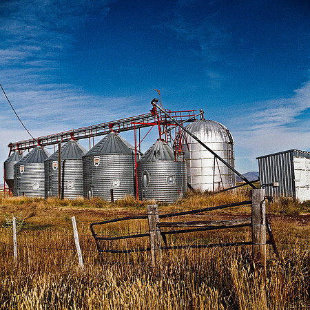 6065_FM_COLOR_MT_05.jpg