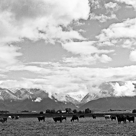 6063_FM_BW_MT_05_2.jpg