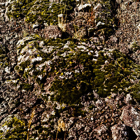 6065_FM_COLOR_MT_05_2.jpg