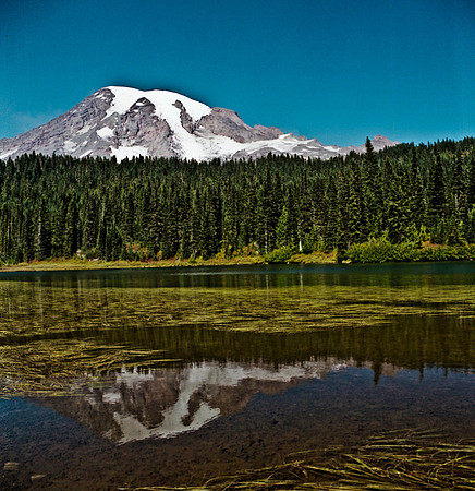 6051_FM_COLOR_SQ_MT_05_2.jpg