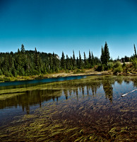 6051_FM_COLOR_SQ_MT_05_1.jpg