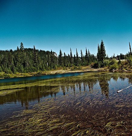 6051_FM_COLOR_SQ_MT_05_1.jpg