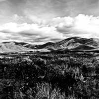 6064_FM_BW_MT_05_3.jpg