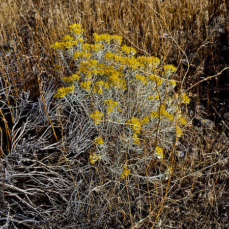 6065_FM_COLOR_MT_05_6.jpg