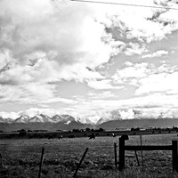 6063_FM_BW_MT_05.jpg