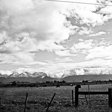 6063_FM_BW_MT_05.jpg