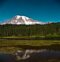 6051_FM_COLOR_SQ_MT_05.jpg