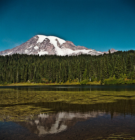 6051_FM_COLOR_SQ_MT_05.jpg