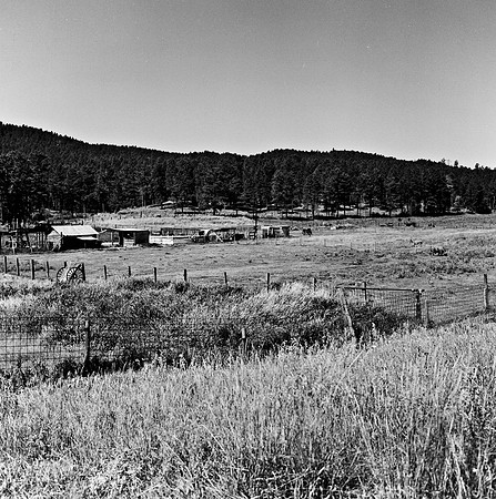 7547_B3P1_BW_SQ_MOIESE_MT_01_4.jpg
