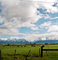 6062_FM_COLOR_SQ_MT_05_3.jpg