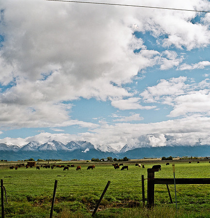 6062_FM_COLOR_SQ_MT_05_3.jpg