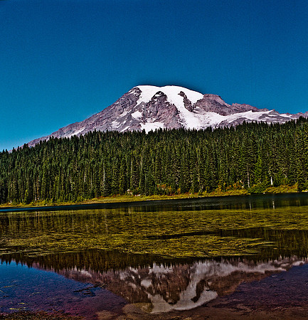 6051_FM_COLOR_SQ_MT_05_8.jpg