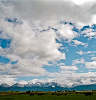 6062_FM_COLOR_SQ_MT_05_4.jpg