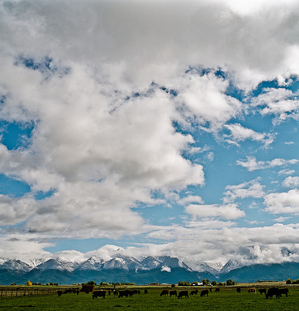 6062_FM_COLOR_SQ_MT_05_4.jpg