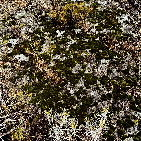 6065_FM_COLOR_MT_05_5.jpg