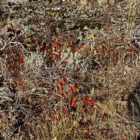 6065_FM_COLOR_MT_05_4.jpg