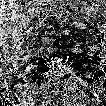 6064_FM_BW_MT_05_4.jpg
