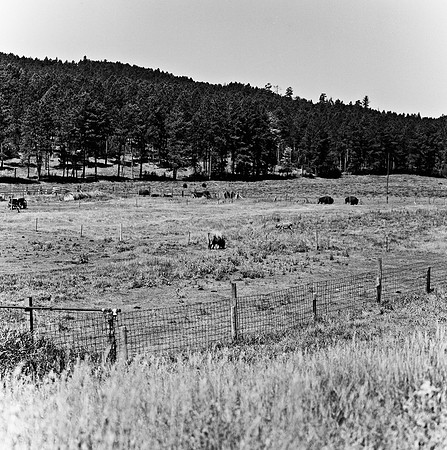 7547_B3P1_BW_SQ_MOIESE_MT_01_3.jpg