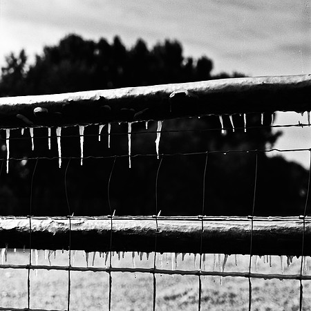 6064_FM_BW_MT_05_6.jpg