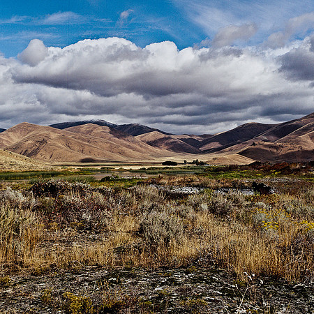 6065_FM_COLOR_MT_05_3.jpg