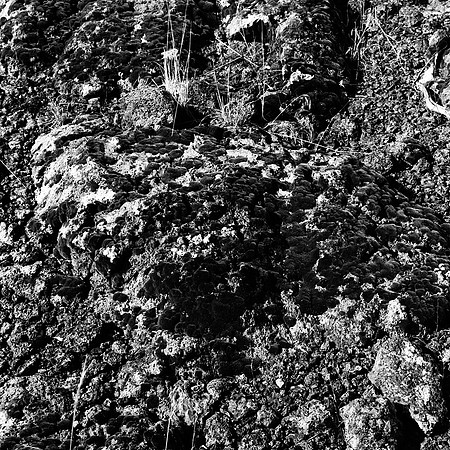 6064_FM_BW_MT_05_5.jpg
