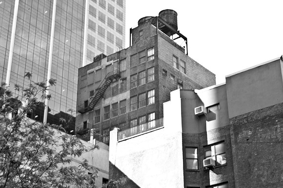 3885_DG_New_York_2010_ZV4N1885