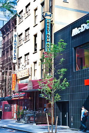 3885_DG_New_York_2010_ZV4N1887