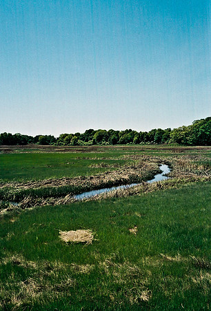 2215_FM_COLOR_TO_NORTH_NY_02_11.jpg