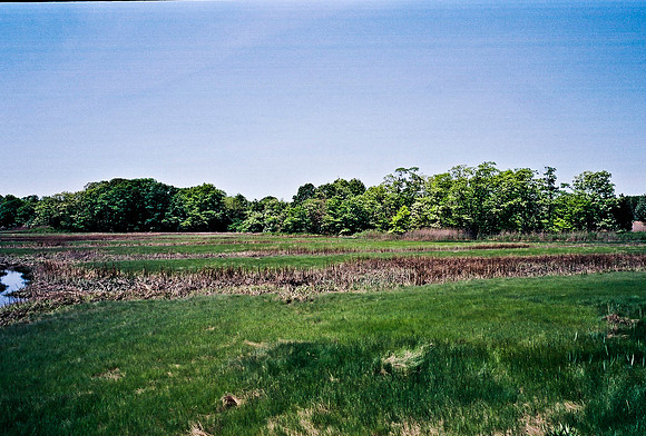 2215_FM_COLOR_TO_NORTH_NY_02_8.jpg