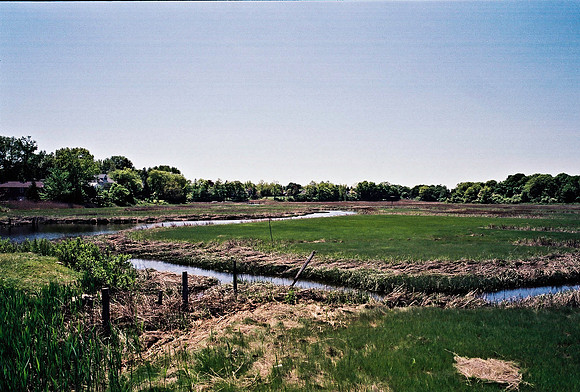 2215_FM_COLOR_TO_NORTH_NY_02_10.jpg