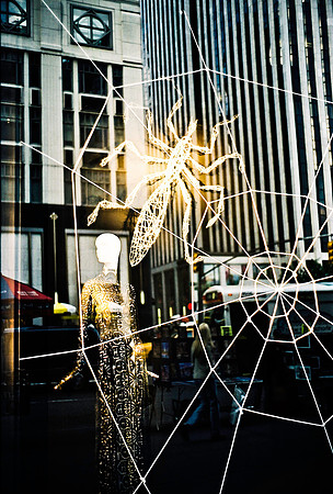 22893_FM_COLOR_NYC_NY_02_16.jpg