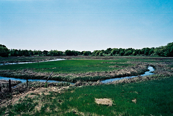 2215_FM_COLOR_TO_NORTH_NY_02_6.jpg