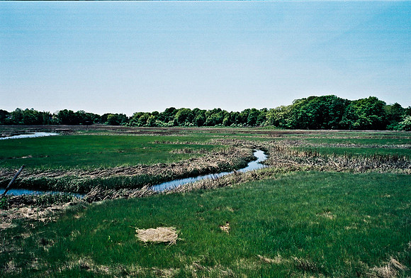 2215_FM_COLOR_TO_NORTH_NY_02_5.jpg