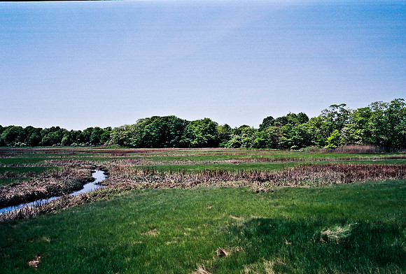 2215_FM_COLOR_TO_NORTH_NY_02_7.jpg