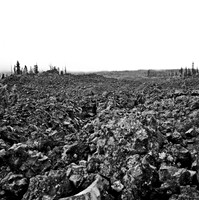 7572_FM_BW_HWY_242_Mc_KENZIE_PASS_OR_01.jpg