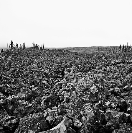 7572_FM_BW_HWY_242_Mc_KENZIE_PASS_OR_01.jpg