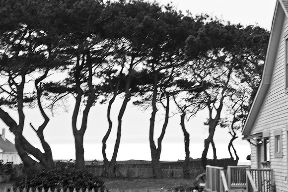 USA_2009_Americana_Series_5L8Y0627
