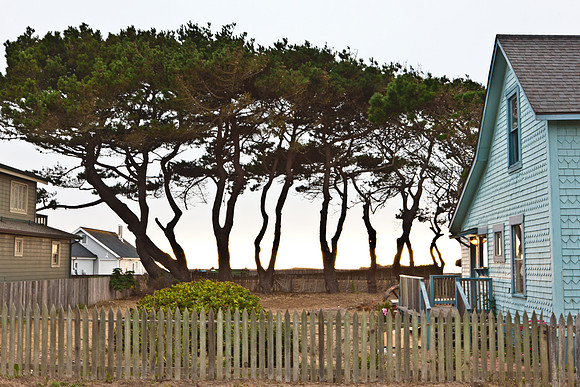 USA_2009_Americana_Series_5L8Y0622