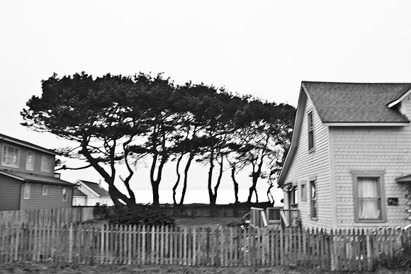 USA_2009_Americana_Series_5L8Y0619