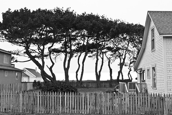 USA_2009_Americana_Series_5L8Y0621
