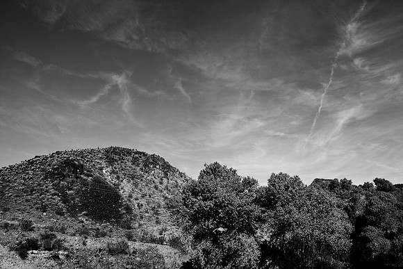 36420_DG_CALIFORNIA_USA_2007_ZV4N_2118-2