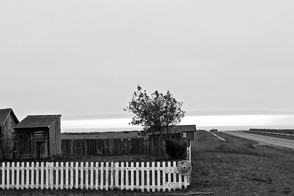USA_2009_Americana_Series_5L8Y0637